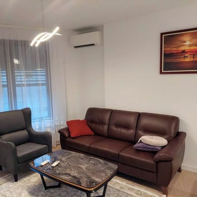 Long-term rental of a 52 m² two-room apartment in Belgrade, Serbia