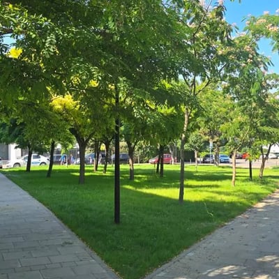 Langzeitmiete einer 2-Zimmer-Wohnung 55 m², Faleza Sud, Constanța, Rumänien