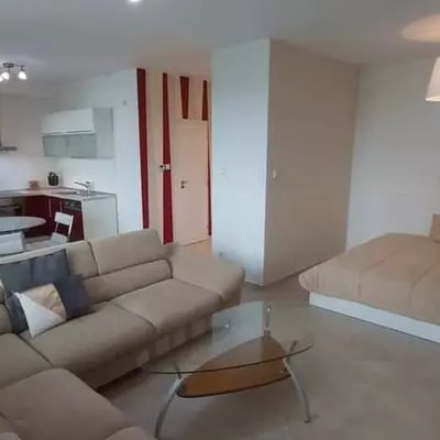 Долгосрочная аренда 1-комнатной квартиры 50 м², Братислава-Ружинов, район Братислава II, Словакия