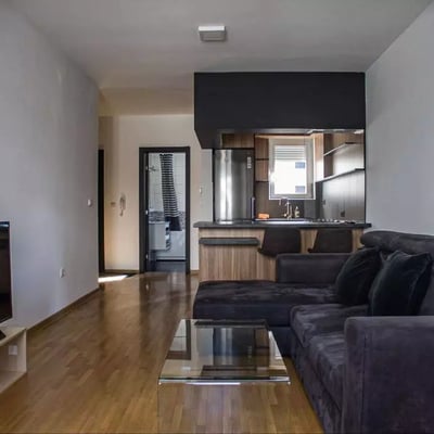 Langfristige Vermietung einer 2-Zimmer-Wohnung, 46 m², im Stadtteil Zvezdara, Belgrad, Serbien