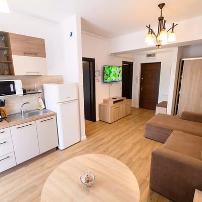 Long-term rental of a 2-room apartment, 45 m², in Mamaia, Constanța, Romania