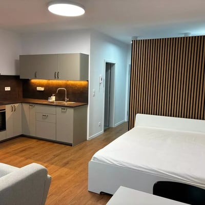 Long-term rental of a 1-room studio apartment, 38 m², in Rača, Bratislava, Slovakia