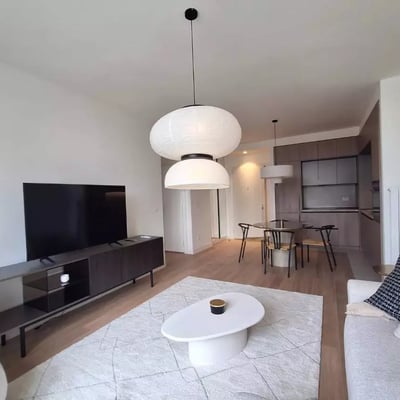 Long-term rental of a 2-room apartment, 59 m², Belgrade, Serbia