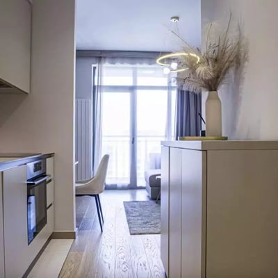 Long-term rental of a studio apartment, 32 m², Belgrade, Serbia