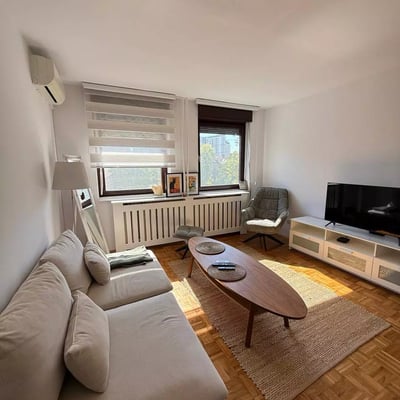 Location longue durée d’un appartement de 2 pièces, 45 m², au centre-ville, Belgrade, Serbie