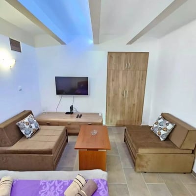 Long-term rental of a 1-room apartment, 25 m², in Zemun, Belgrade, Serbia