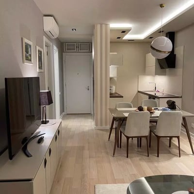 Long-term rental of a 2-room apartment, 53 m², New Belgrade, Belgrade, Serbia