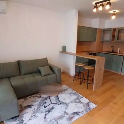 Langzeitmiete einer 2-Zimmer-Wohnung, 55 m², in Vračar, Belgrad, Serbien