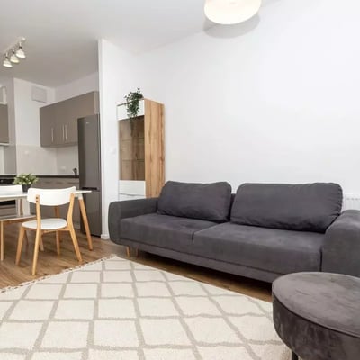 Long-term rental of a spacious 1-room apartment, 36 m², Stare Miasto, Krakow, Poland
