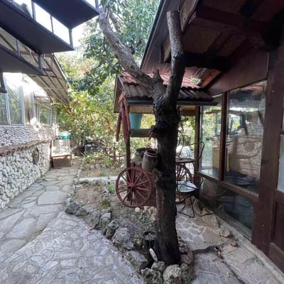 Аренда уютного 2-комнатного апартамента с двориком, Варна, Болгария