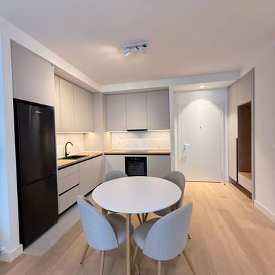 Alquiler de un espacioso apartamento de 2 habitaciones, 55 m², Belgrado, Serbia