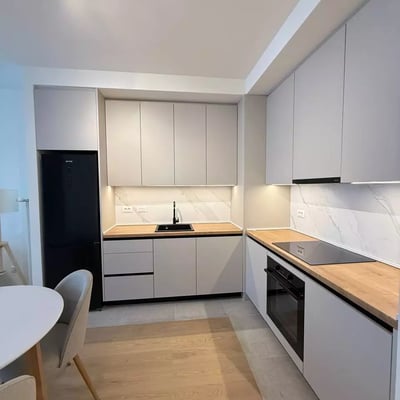Alquiler de un espacioso apartamento de 2 habitaciones, 55 m², Belgrado, Serbia