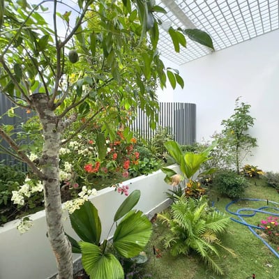 Miete eines neuen Hauses mit 4 Schlafzimmern, Ngu Hanh Son, Da Nang, Vietnam