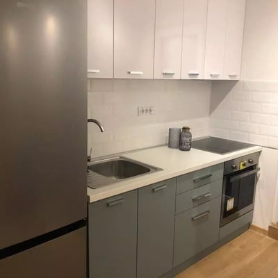 Miete einer renovierten 2-Zimmer-Wohnung, 37 m², Vračar, Belgrad, Serbien