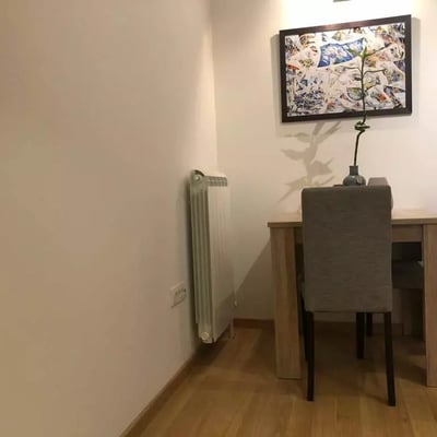 Miete einer renovierten 2-Zimmer-Wohnung, 37 m², Vračar, Belgrad, Serbien