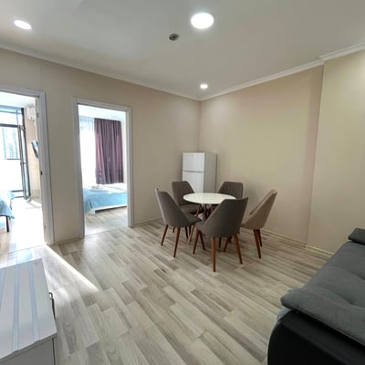 Spacious Furnished Apartment for Rent, Batumi, Georgia