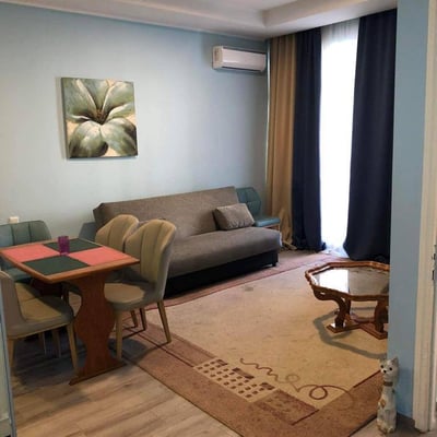 Аренда светлой, меблированной квартиры, 55 м², Батуми, Грузия