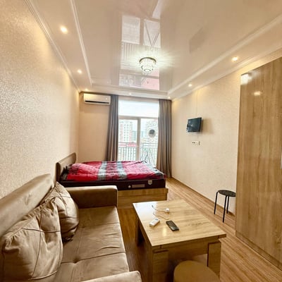 Аренда светлой и уютной студии рядом с парком, 33 м², Батуми, Грузия