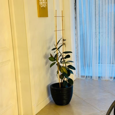 Miete eines geräumigen dreistöckigen Hauses, Makhinjauri, Batumi, Georgien