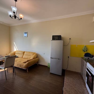 Furnished apartment rental near the sea, 47 sqm, Batumi, Georgia