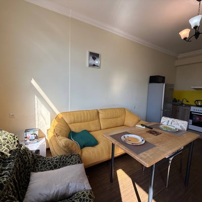 Furnished apartment rental near the sea, 47 sqm, Batumi, Georgia