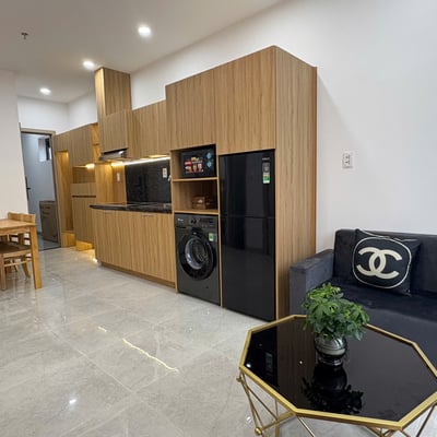 Rent a modern, furnished apartment near the beach, Son Tra, Da Nang, Vietnam