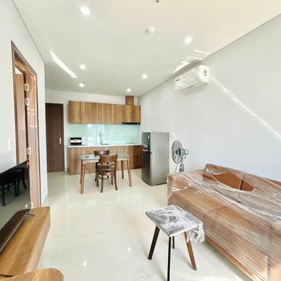 Brand-New 1-Bedroom Apartments for Rent in Son Tra, Da Nang