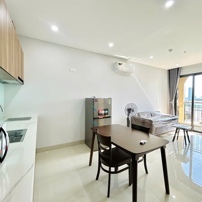 Brand-New 1-Bedroom Apartments for Rent in Son Tra, Da Nang