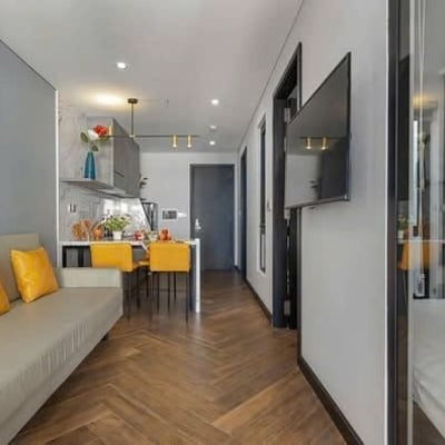 Pet-Friendly 2-Bedroom Fully Furnished Apartment for Rent in Son Tra, Da Nang
