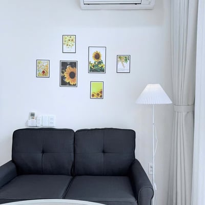 Furnished apartment for rent (Pet-friendly), Da Nang, Vietnam