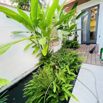 Alquiler de una casa de lujo y luminosa de 350 m² con un hermoso jardín en el distrito de Hai Chau, Da Nang, Vietnam