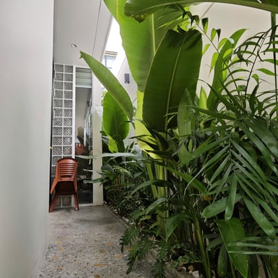 Casa elegante y amueblada en alquiler, Da Nang, Vietnam