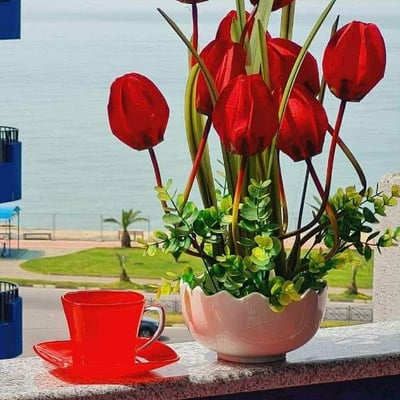 Appartement meublé avec vue sur la mer, 56 m², à louer à Batumi, Géorgie