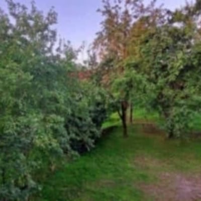 Spacious, cozy house for rent, 100 m², Batumi, Georgia