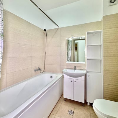 Cozy Bright One-Room Apartment for Rent, Bucharest, Romania