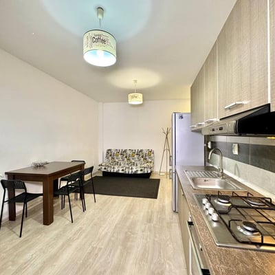 Bright and furnished apartment rental, Bucharest, Romania
