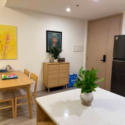 Modern apartment for rent in Lumière Boulevard, Ho Chi Minh City (Saigon), Vietnam