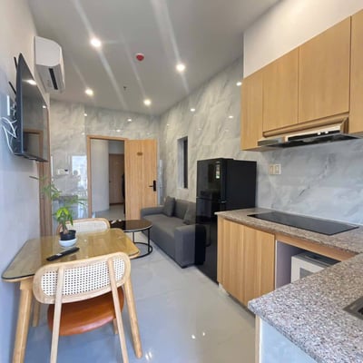 Modern apartment rental in Son Tra district, Da Nang, Vietnam
