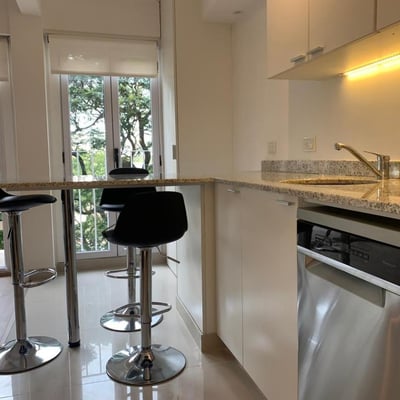 Furnished 2-room apartment 55m2 near the park, Palermo