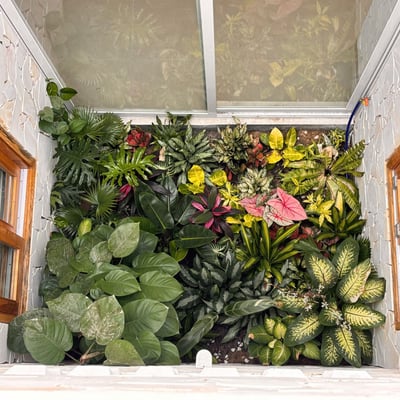 Аренда современного и стильного дома с садом, Сон Тра, Дананг, Вьетнам