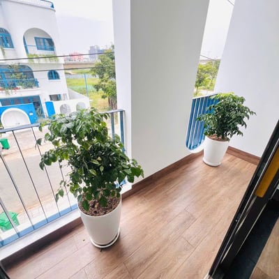 Bright and furnished apartment for rent, Da Nang, Vietnam