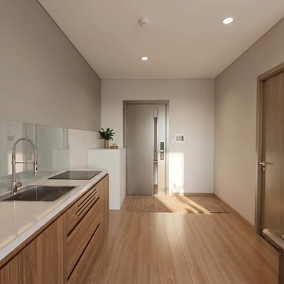 Rent a brand new, furnished apartment, 40 m², Hai Chau, Da Nang, Vietnam
