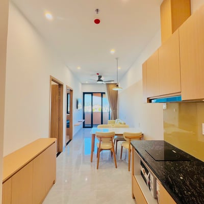 Appartement moderne et spacieux à louer, Da Nang