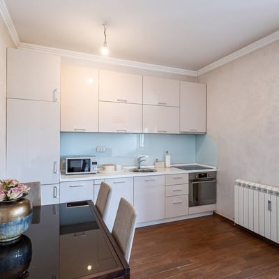 Alquiler de apartamento moderno y confortable, 58 m², Vračar, Belgrado, Serbia