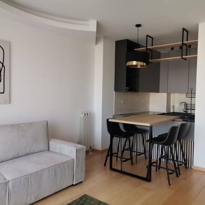Rent of a bright, furnished apartment, 56 m², Central Garden residential complex, Belgrade, Serbia