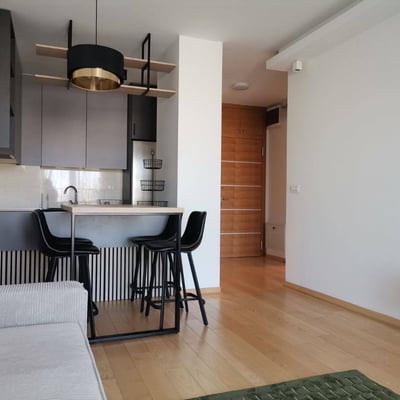 Rent of a bright, furnished apartment, 56 m², Central Garden residential complex, Belgrade, Serbia