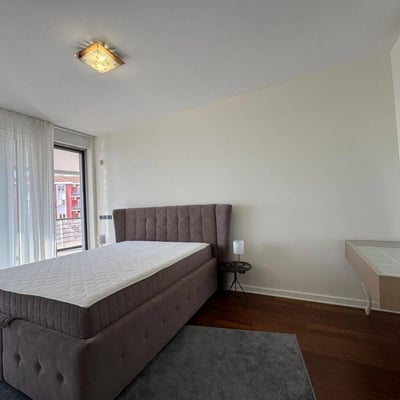 Location d'un appartement spacieux et luxueux avec terrasse, 140 m², Vračar, Belgrade, Serbie