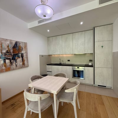 Rent a premium, bright apartment, 54 m², Novi Dorćol, Belgrade, Serbia