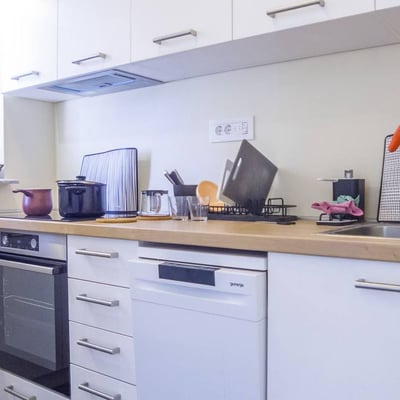 Location d'un appartement lumineux et chaleureux, 47 m², Belgrade, Serbie