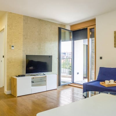 Rent a cozy, comfortable apartment with terrace, 50 m², Vračar, Belgrade, Serbia